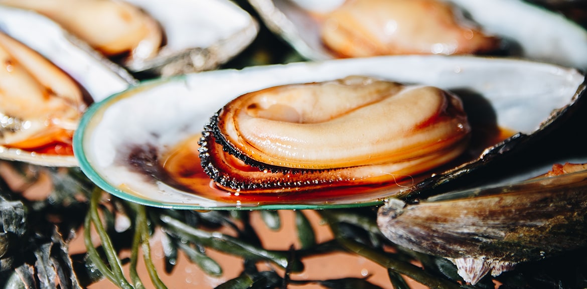 Top 3 Delicious Recipes to Get Your Taste Buds Popping